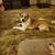 Linda Bennett's profile image