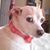 Tracey Austin Nadeau's profile image