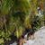 Patricia Mayville's profile image