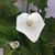 Cathy Saunders's profile image