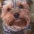 Kirstin Mayo Kendall's profile image