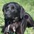 Connie Domeyer Sjostrom's profile image