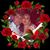 Liliana Cardona's profile image