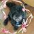 Valorie Spotwood's profile image