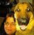 Debra Mehl Rodriguez's profile image