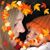 Liz Iverson's profile image