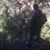 Mike Davis's profile image