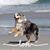 Adrienne Saeli's profile image