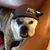 Tyrone Levesque Sr.'s profile image