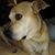Peggy Daley's profile image
