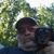 Glenn Schwartz's profile image