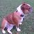 Yasmina Flores's profile image