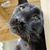 Cida Santos's profile image