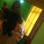 Daniela Mc Sharry's profile image