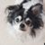 Sue Simmons's profile image