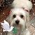 Dina Pol's profile image