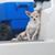 Robin Allen Geier's profile image