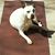 Jill Marimon's profile image
