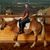 Chad Bivins's profile image