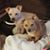 Cheryl Archer Wilson's profile image
