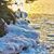 Pam Partanen-Tremethick's profile image