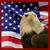 Casey Blankenship's profile image
