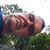 James Gill's profile image