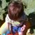 Richard Kunkel's profile image