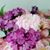 Lisa Giannetti's profile image