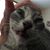 Miranda Carrier Linton's profile image