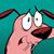 Oswaldo Trigueiros's profile image