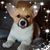 Pam Michaels's profile image