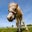 Filly Chatter's profile image