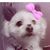Antonia Overman's profile image
