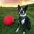 Lisa Robinson's profile image