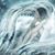 Chapis Gonsalez's profile image