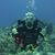 Rick Robel's profile image
