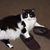 Myrian 'Leonard' Shipp's profile image