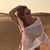 Flávia Monteiro Novo's profile image
