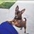 Debbie Avila's Tresors's profile image