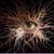 Clyde Helmstetter's profile image