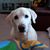 Karin Copeland's profile image
