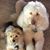 Cristy Wimer's profile image