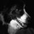 Carlota Michels's profile image