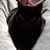 Jason Tonya Pelotte's profile image