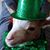Lisa Jane Erickson's profile image
