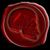 William Willy P Puckett's profile image