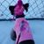 Robin Bruton Johnston's profile image
