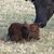 Vickie Jindra Clark's profile image