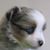 Jackie Hoyle Lutz's profile image